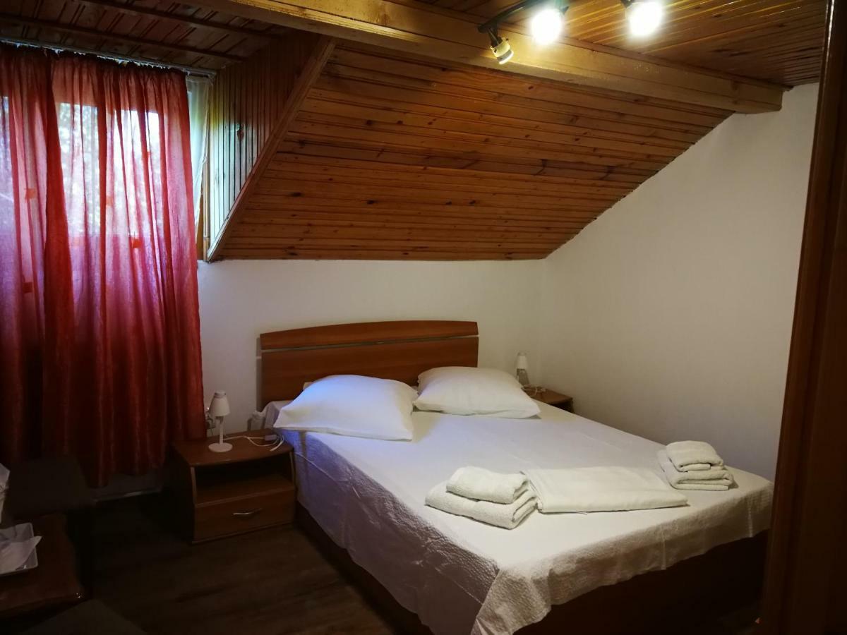 ホテル Vila Speranta Pleşcoi エクステリア 写真